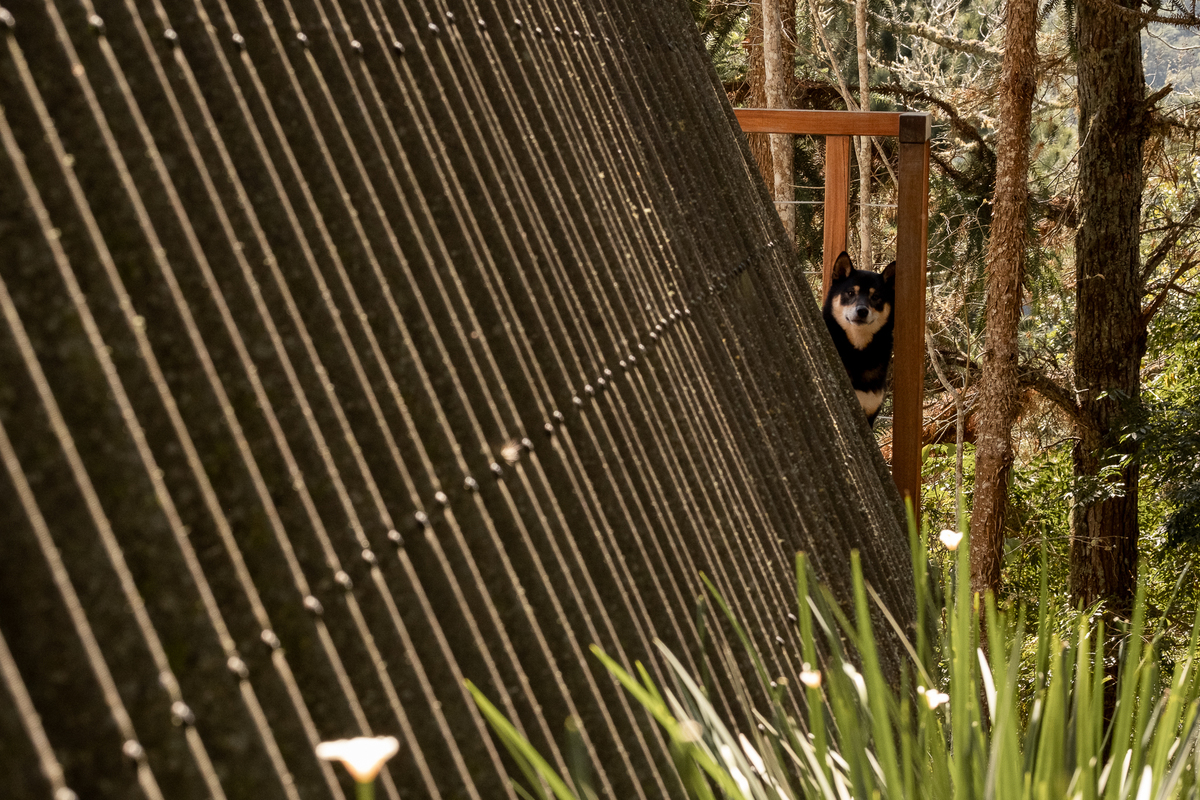 ensaio-pre-casamento-represa-do-capivari-juliana-alexandre11