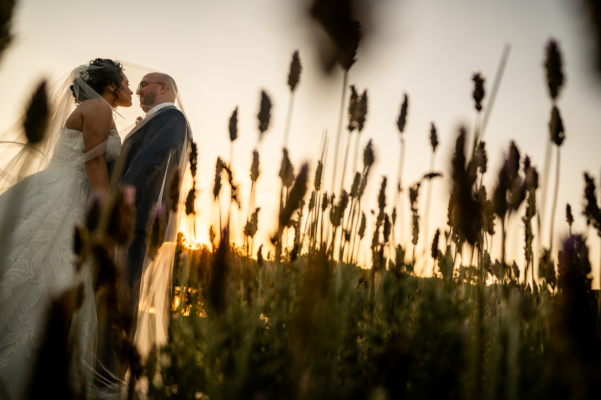 casamento-chacara-sentinela-imbuial-colombo-cerimonia-ao-ar-livre
