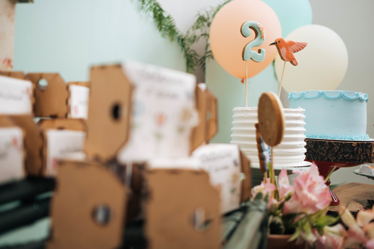 aniversario-infantil-laguna-catarina-2anos-04