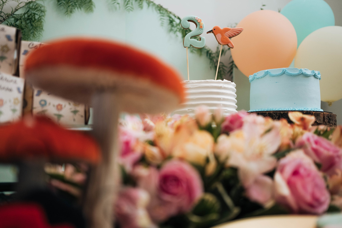 aniversario-infantil-laguna-catarina-2anos-06