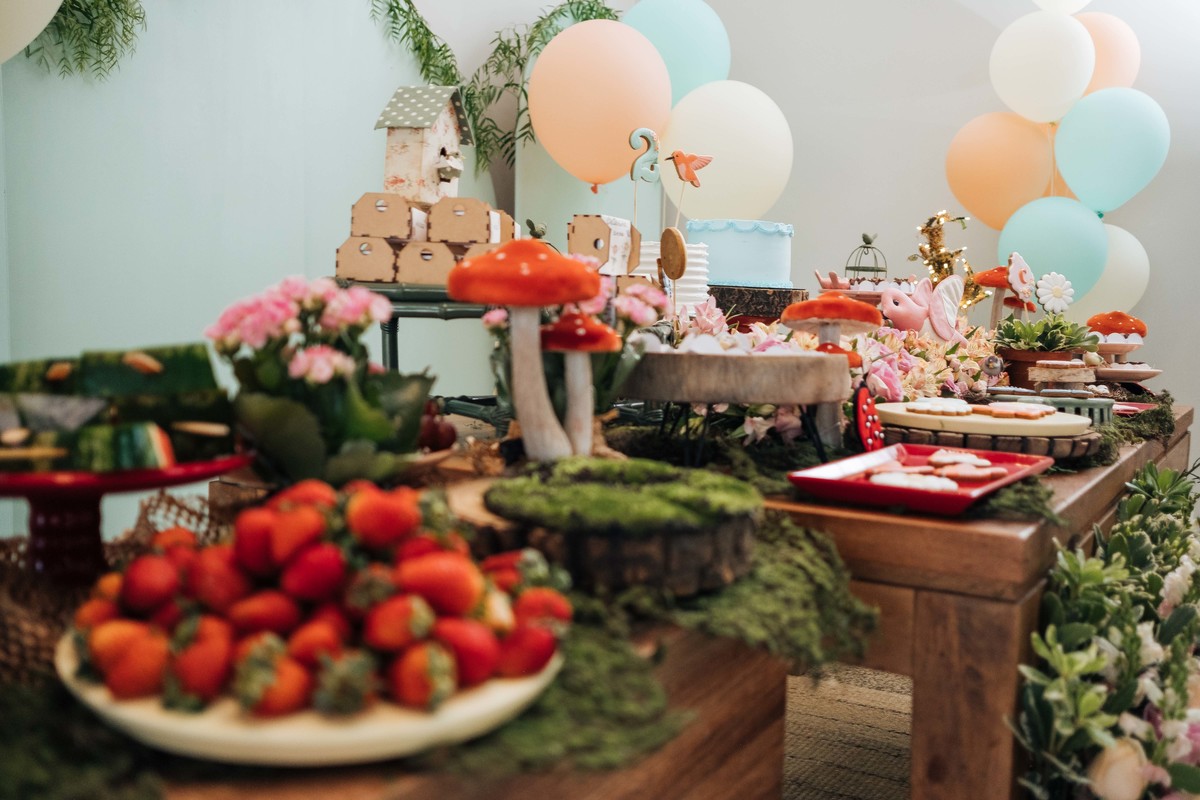 aniversario-infantil-laguna-catarina-2anos-14