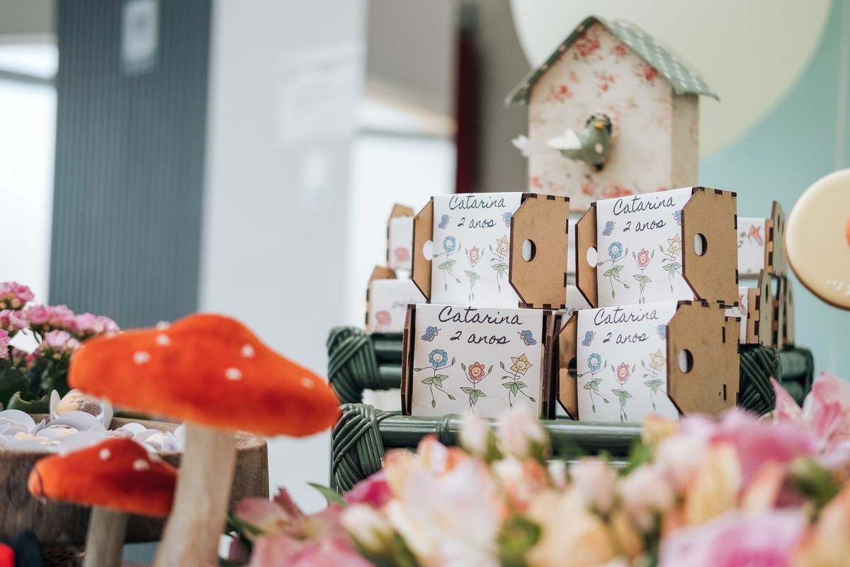 aniversario-infantil-laguna-catarina-2anos-05