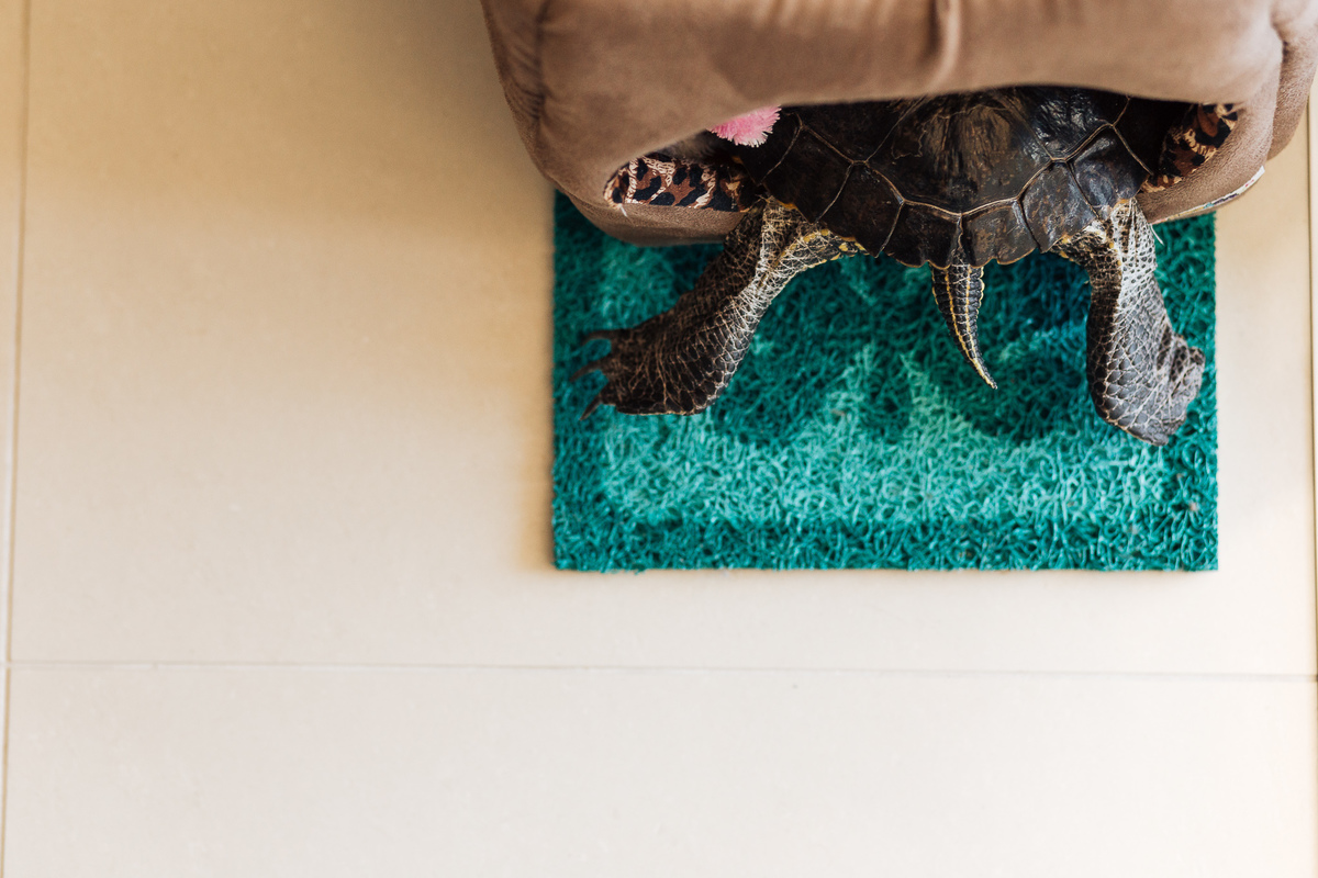 fotografia-de-casamento-diurno-em-flores-da-cunha-cris-e-edu-11