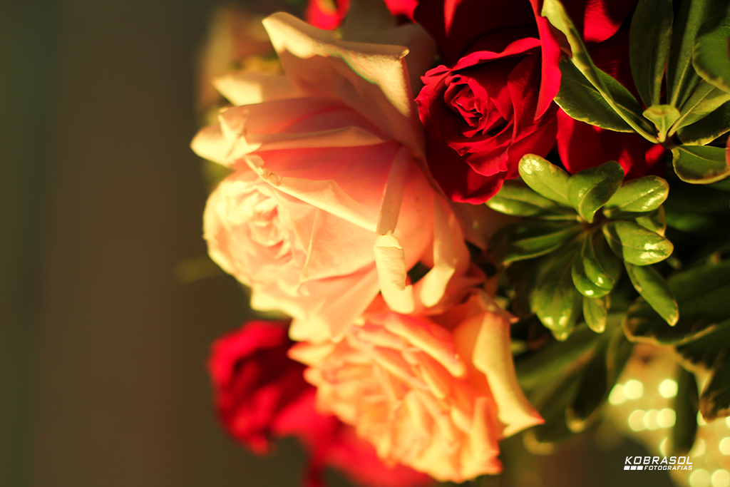 15 anos, sweetfifteen, quinzeanos, adolescente, aniversário, 15birthday