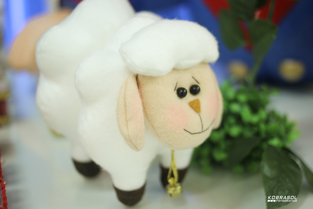 umano, umaninho, primeiroaninho, fotografiainfantil, fotodefesta, festadeumaninho