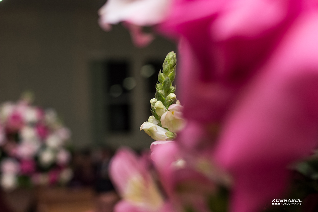 casamento, wedding, boda, fotografiadecasamento, fotosdecasamento, casamentonaigreja, bride, groom