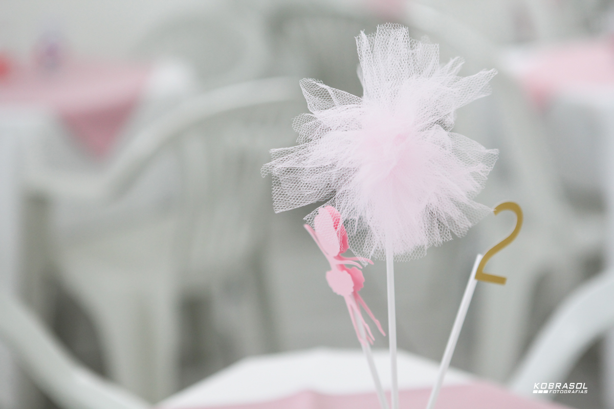 doisanos, doisaninhos, segundoaninho, fotografiainfantil, fotodefesta, festadedoisannos, festainfantil