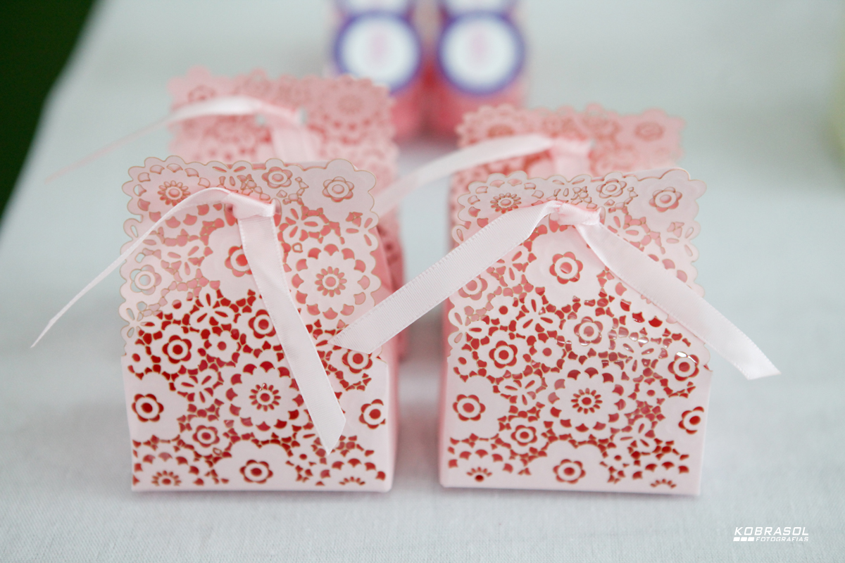 doisanos, doisaninhos, segundoaninho, fotografiainfantil, fotodefesta, festadedoisannos, festainfantil