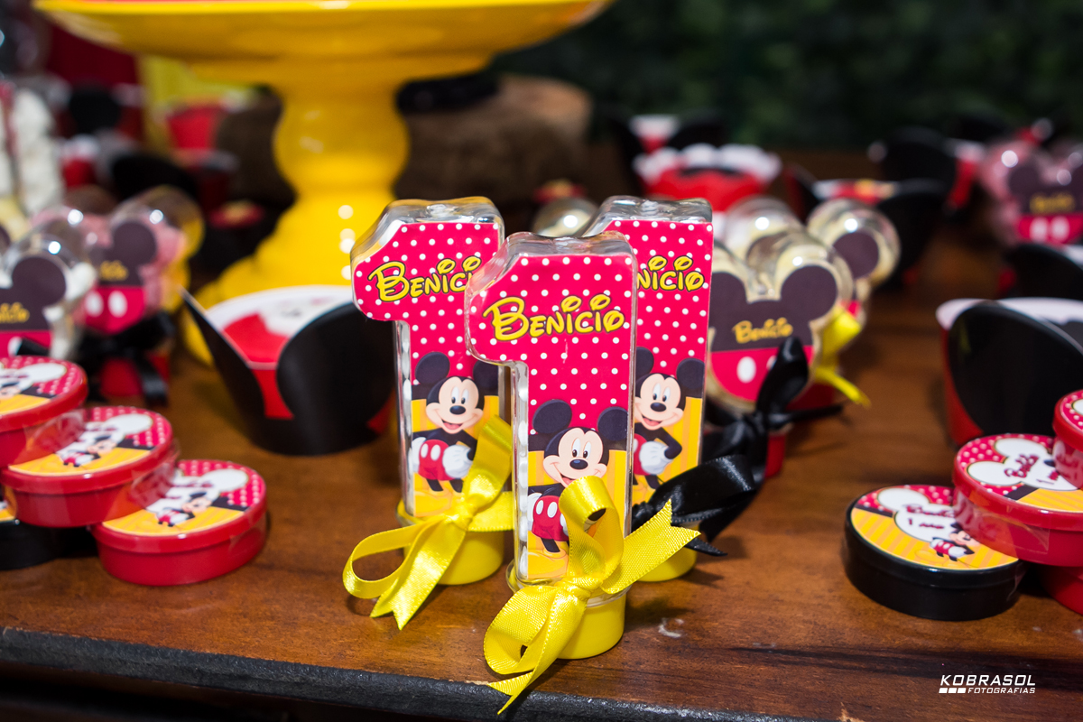 umano, umaninho, primeiroaninho, fotografiainfantil, fotodefesta, festadeumaninho