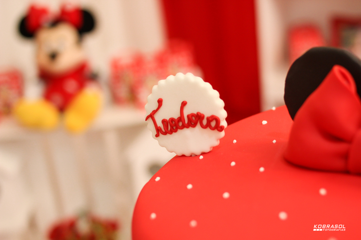 umano, umaninho, primeiroaninho, fotografiainfantil, fotodefesta, festadeumaninho