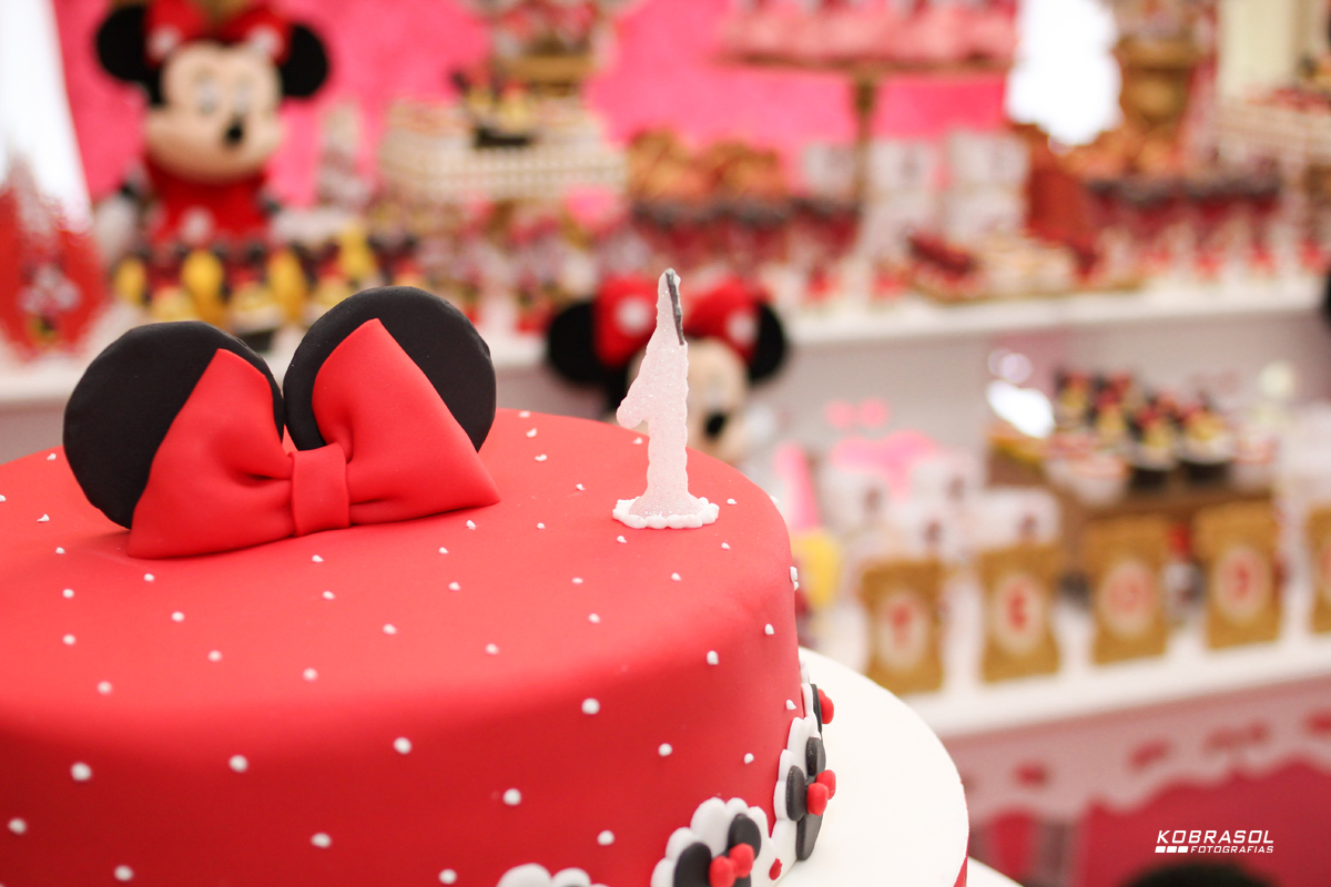 umano, umaninho, primeiroaninho, fotografiainfantil, fotodefesta, festadeumaninho