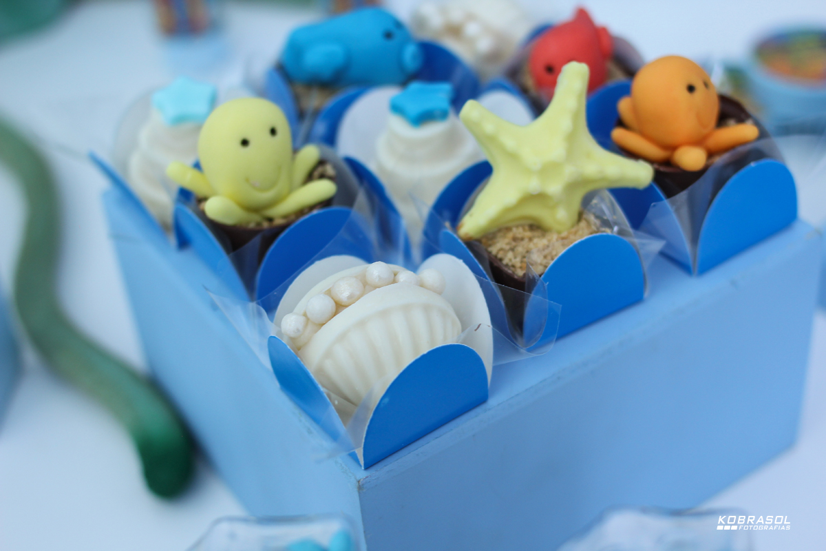 umano, umaninho, primeiroaninho, fotografiainfantil, fotodefesta, festadeumaninho