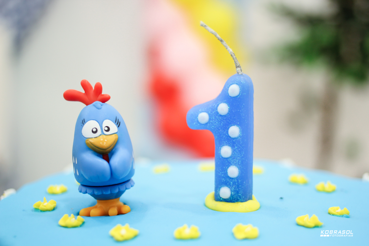 umano, umaninho, primeiroaninho, fotografiainfantil, fotodefesta, festadeumaninho