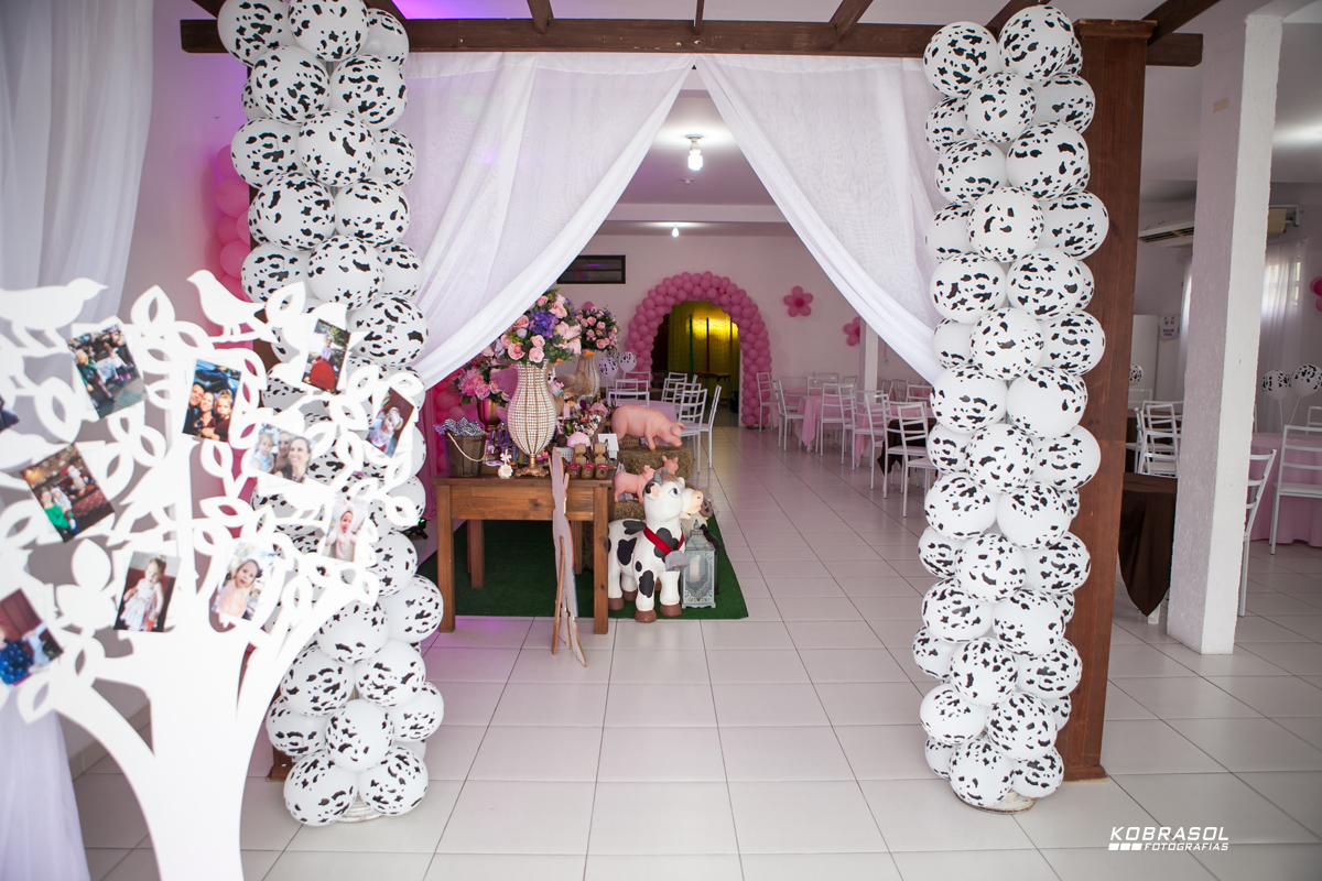 doisanos, segundoaninho, fotografiainfantil, fotodefesta, festadedoisaninhos