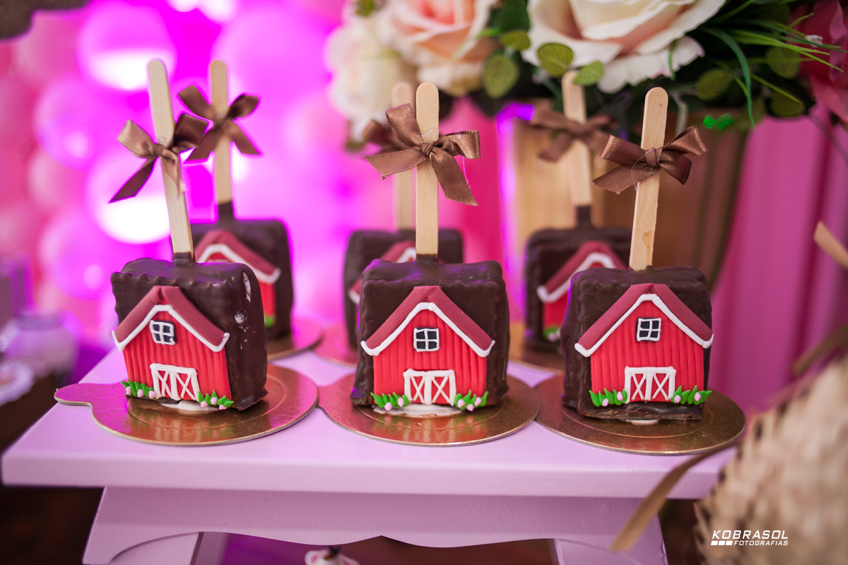 doisanos, segundoaninho, fotografiainfantil, fotodefesta, festadedoisaninhos