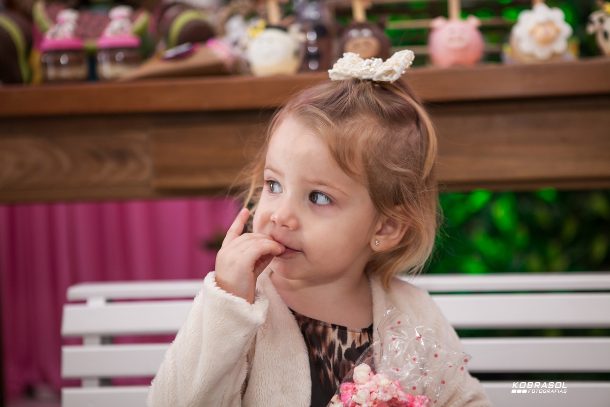 doisanos, segundoaninho, fotografiainfantil, fotodefesta, festadedoisaninhos