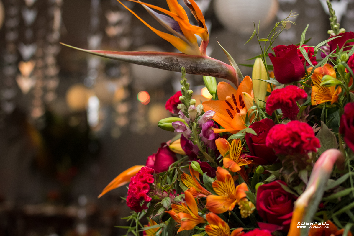 15 anos, sweetfifteen, quinzeanos, adolescente, aniversário, 15birthday