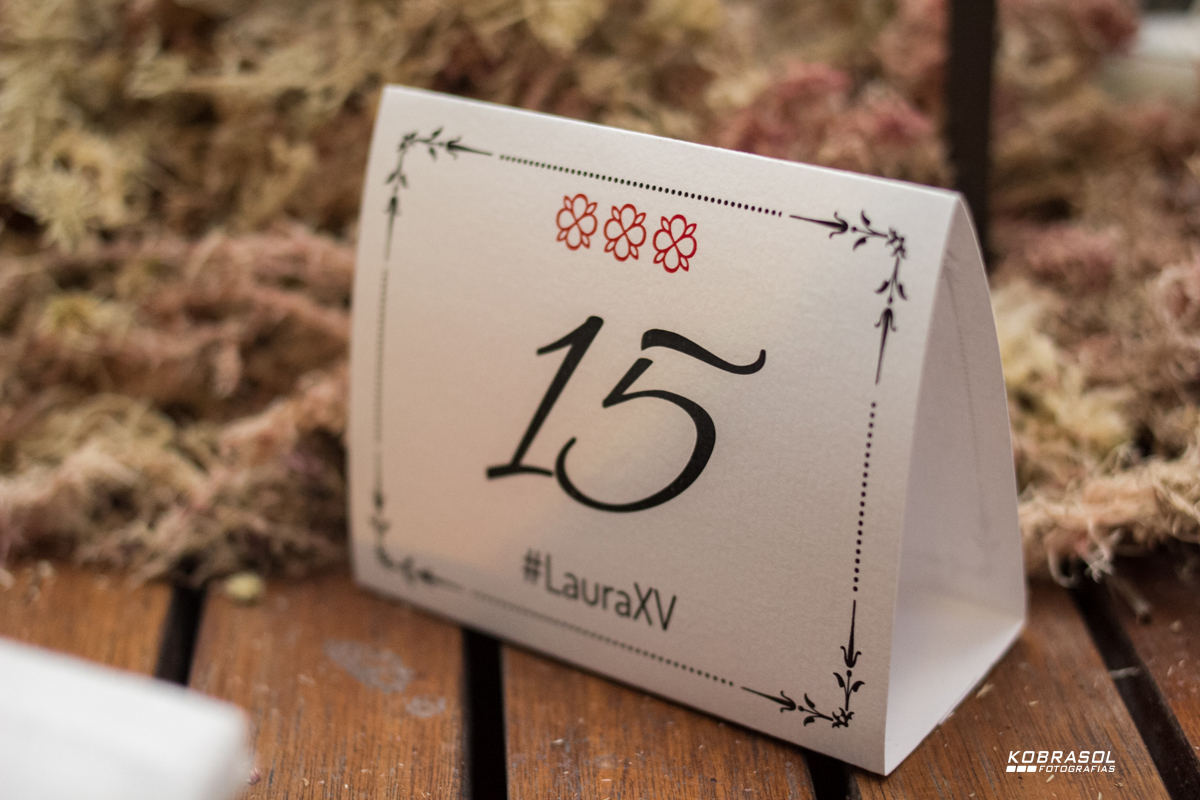 15 anos, sweetfifteen, quinzeanos, adolescente, aniversário, 15birthday