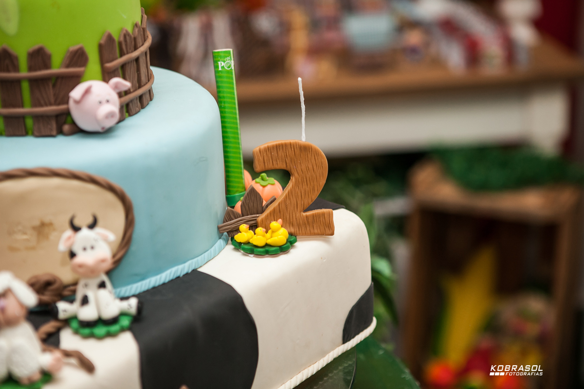 doisanos, segundoaninho, fotografiainfantil, fotodefesta, festadedoisaninhos