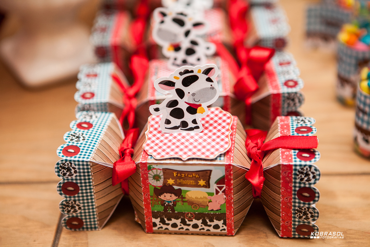 doisanos, segundoaninho, fotografiainfantil, fotodefesta, festadedoisaninhos