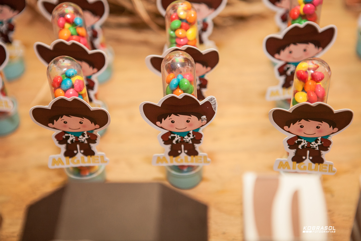 doisanos, segundoaninho, fotografiainfantil, fotodefesta, festadedoisaninhos