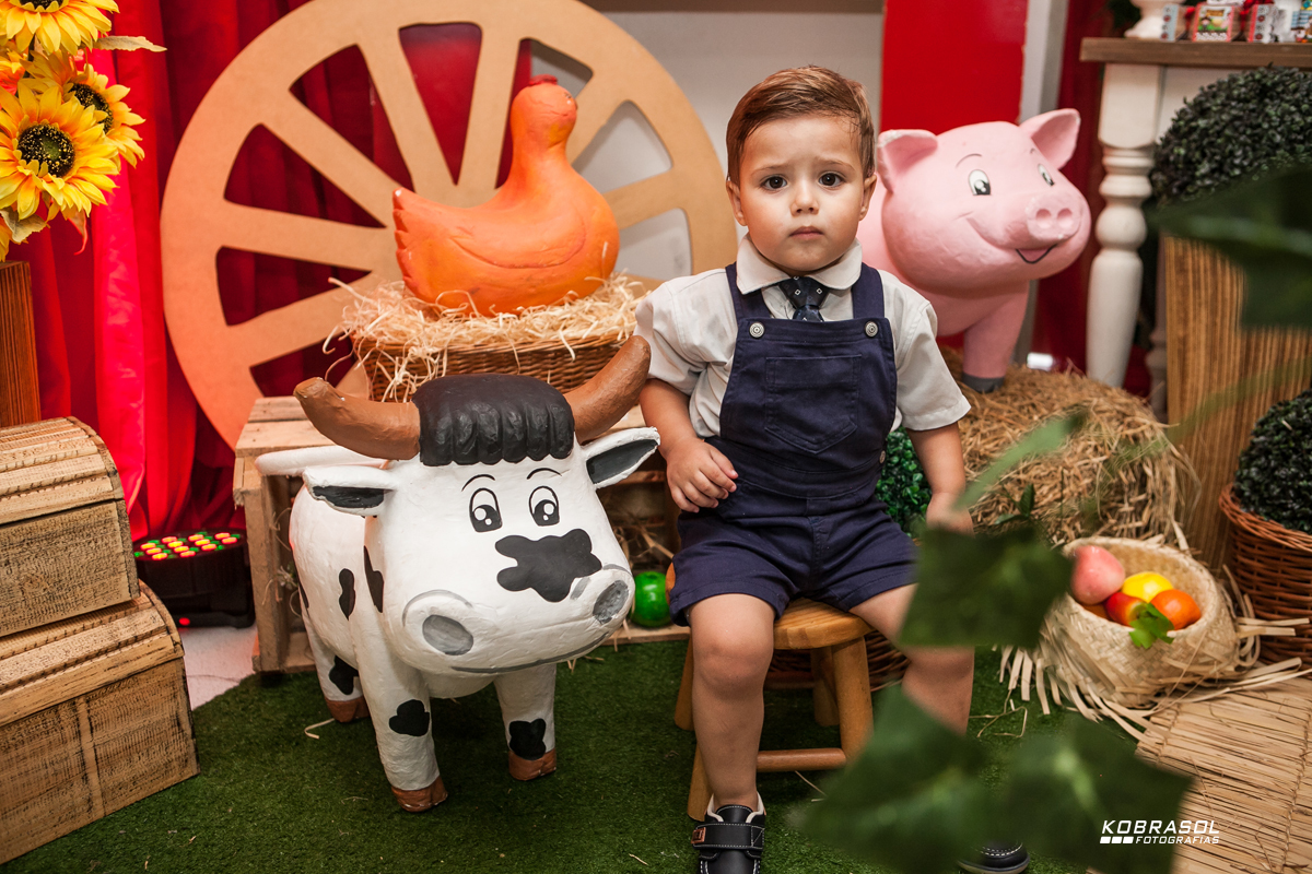 doisanos, segundoaninho, fotografiainfantil, fotodefesta, festadedoisaninhos