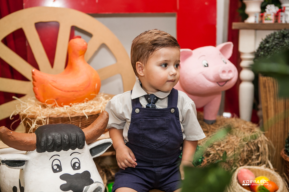 doisanos, segundoaninho, fotografiainfantil, fotodefesta, festadedoisaninhos