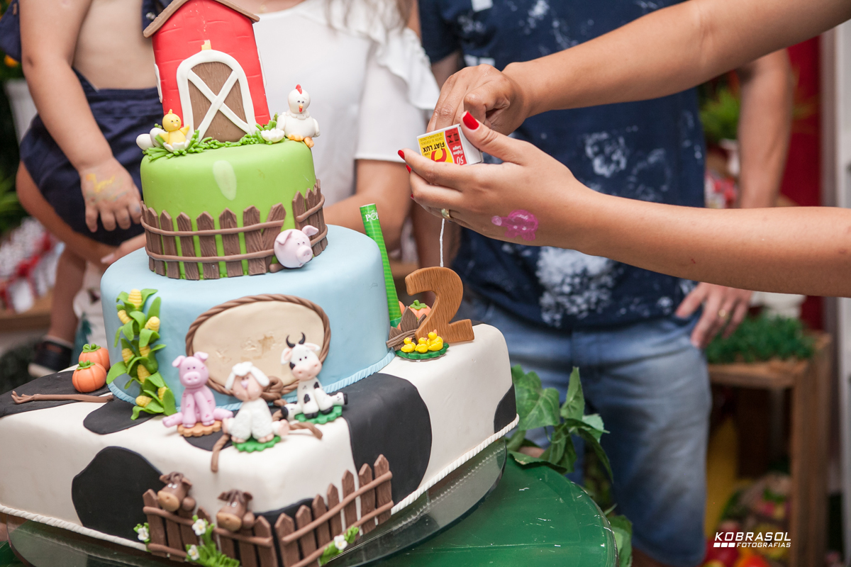 doisanos, segundoaninho, fotografiainfantil, fotodefesta, festadedoisaninhos