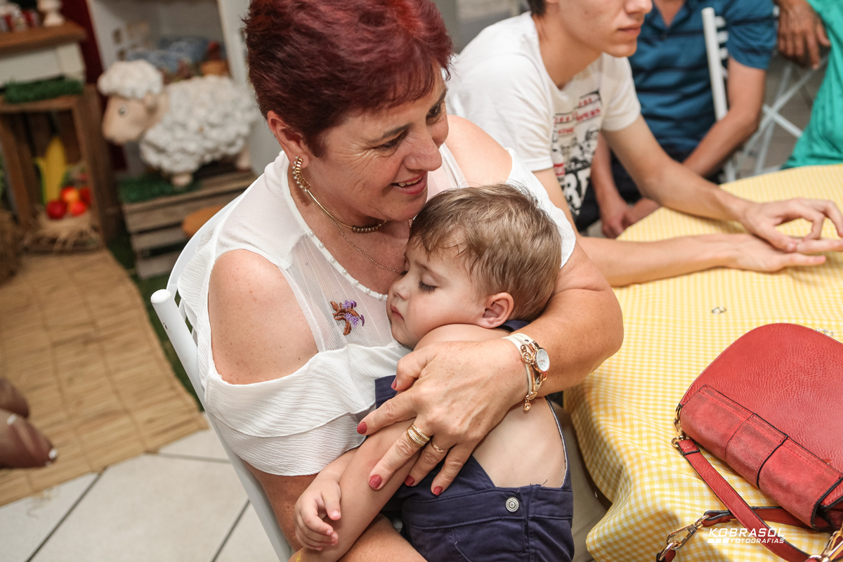 doisanos, segundoaninho, fotografiainfantil, fotodefesta, festadedoisaninhos
