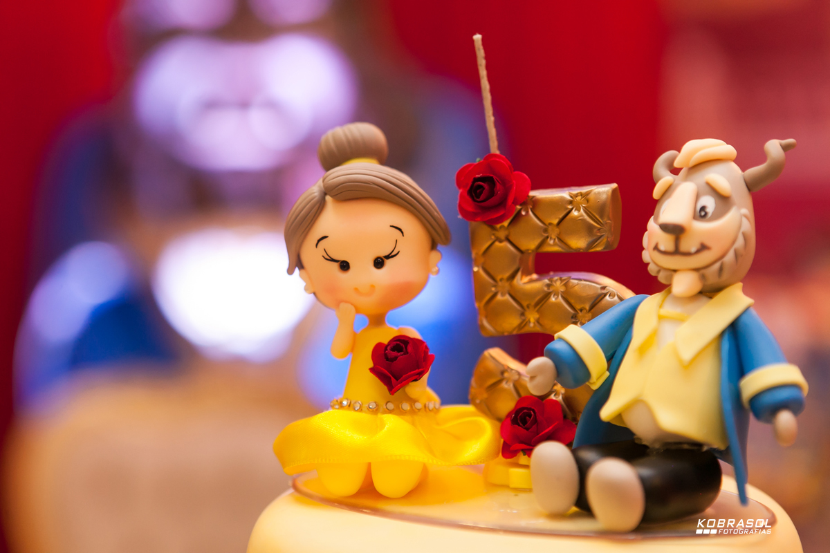 cincoanos, quintoaninho, fotografiainfantil, fotodefesta, festadecriança, abelaeaferadecor, festadeprincesa, familiareal, bricamundi