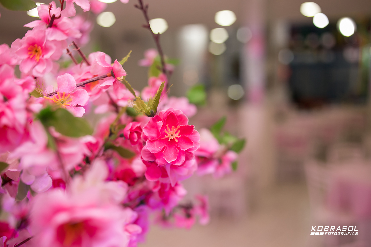 umano, umaninho, primeiroaninho, fotografiainfantil, fotodefesta, festadeumaninho, festajardim, jardimdecor, decoracaojardim, umaninho, primeiroano, festadeprincesa, maedemenina, fotosdefesta, planetafestas