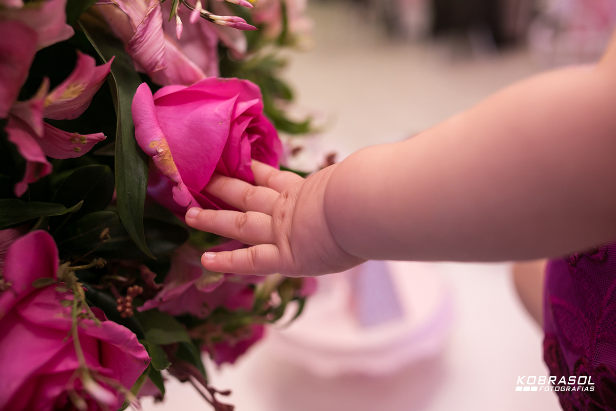 umano, umaninho, primeiroaninho, fotografiainfantil, fotodefesta, festadeumaninho, festajardim, jardimdecor, decoracaojardim, umaninho, primeiroano, festadeprincesa, maedemenina, fotosdefesta, planetafestas