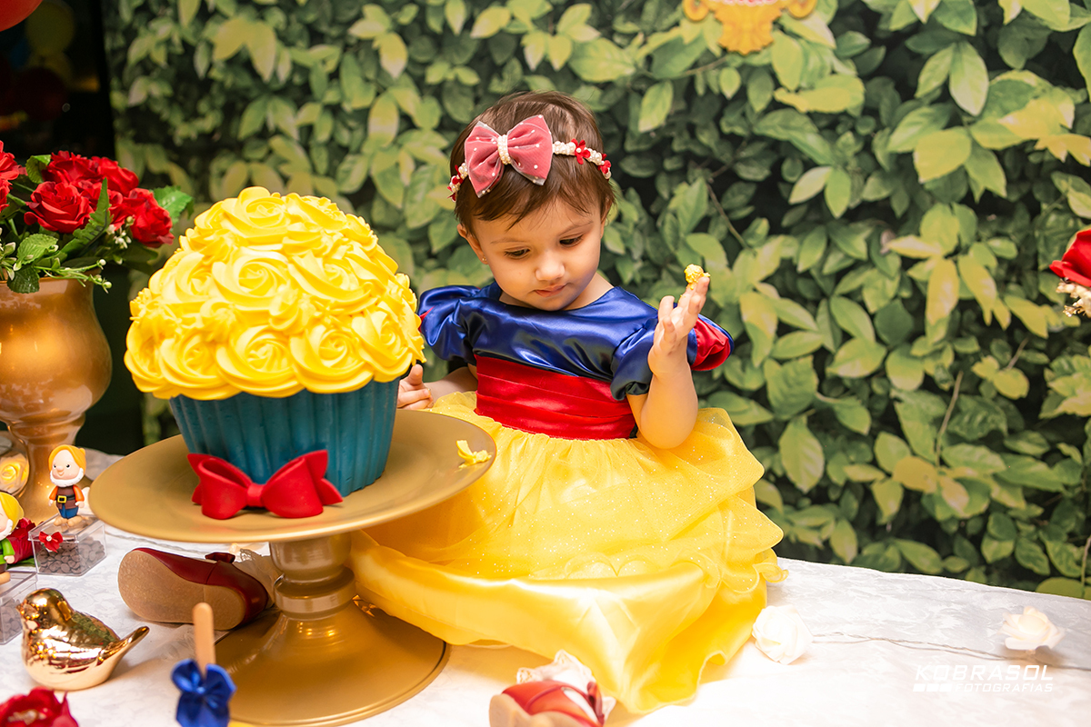 festadeumano, brancadenevedecor, festadebrancadeneve, snowwhutedecor, fotosdeumaninho, festadecrianca, fotografoflorianopolis