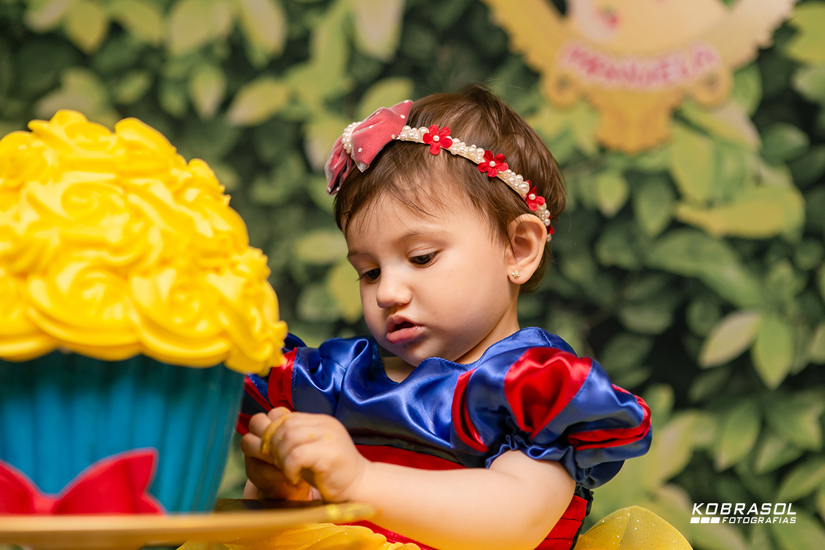 festadeumano, brancadenevedecor, festadebrancadeneve, snowwhutedecor, fotosdeumaninho, festadecrianca, fotografoflorianopolis