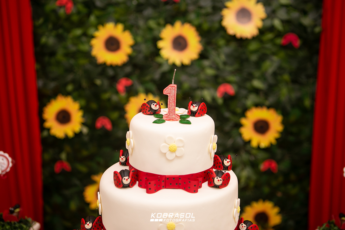 aniversarioumano, festajoaninha, festadecriança, festainfantil, umano, fotografofloriaopolis, fotografodecrianca, fotografiadefesta