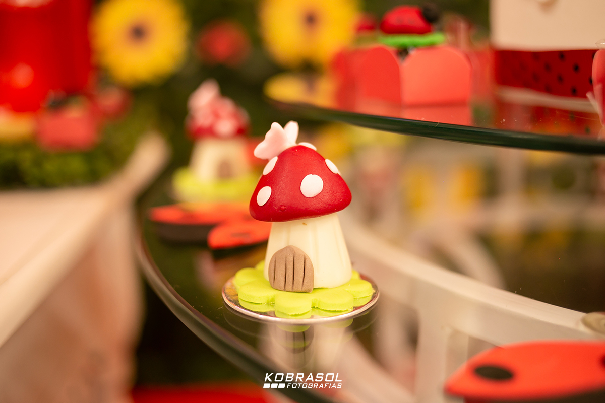 aniversarioumano, festajoaninha, festadecriança, festainfantil, umano, fotografofloriaopolis, fotografodecrianca, fotografiadefesta