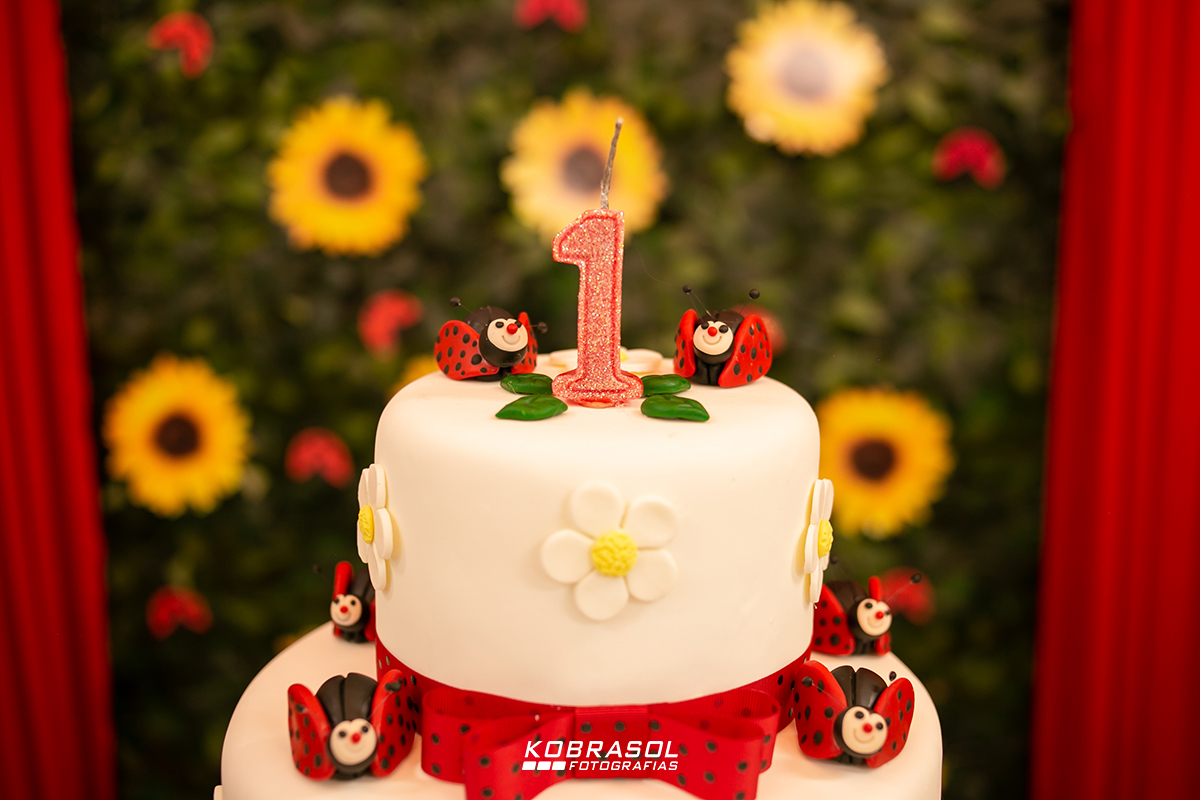 aniversarioumano, festajoaninha, festadecriança, festainfantil, umano, fotografofloriaopolis, fotografodecrianca, fotografiadefesta