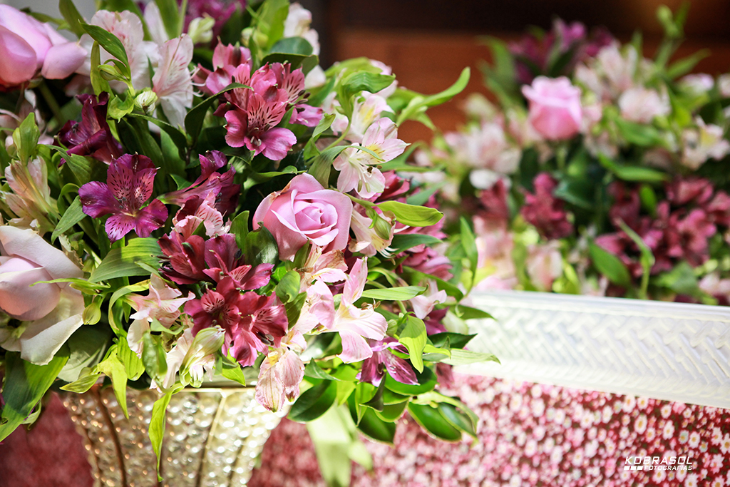 15 anos, sweetfifteen, quinzeanos, adolescente, aniversário, 15birthday