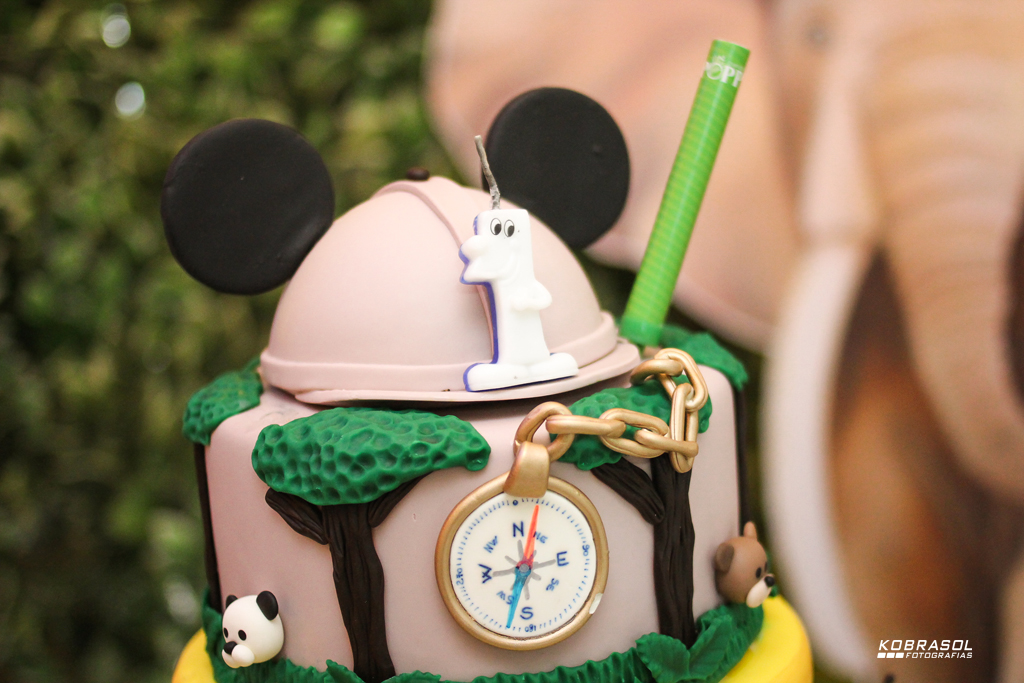 umano, umaninho, primeiroaninho, fotografiaingantil, fotodefesta, festadeumaninho