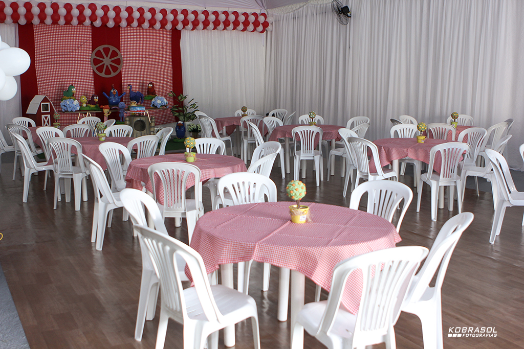 doisanos, doisaninhos, segundoaninho, fotografiainfantil, fotodefesta, festadedoisannos, festainfantil