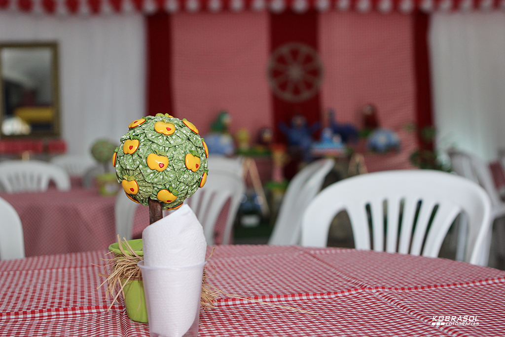 doisanos, doisaninhos, segundoaninho, fotografiainfantil, fotodefesta, festadedoisannos, festainfantil