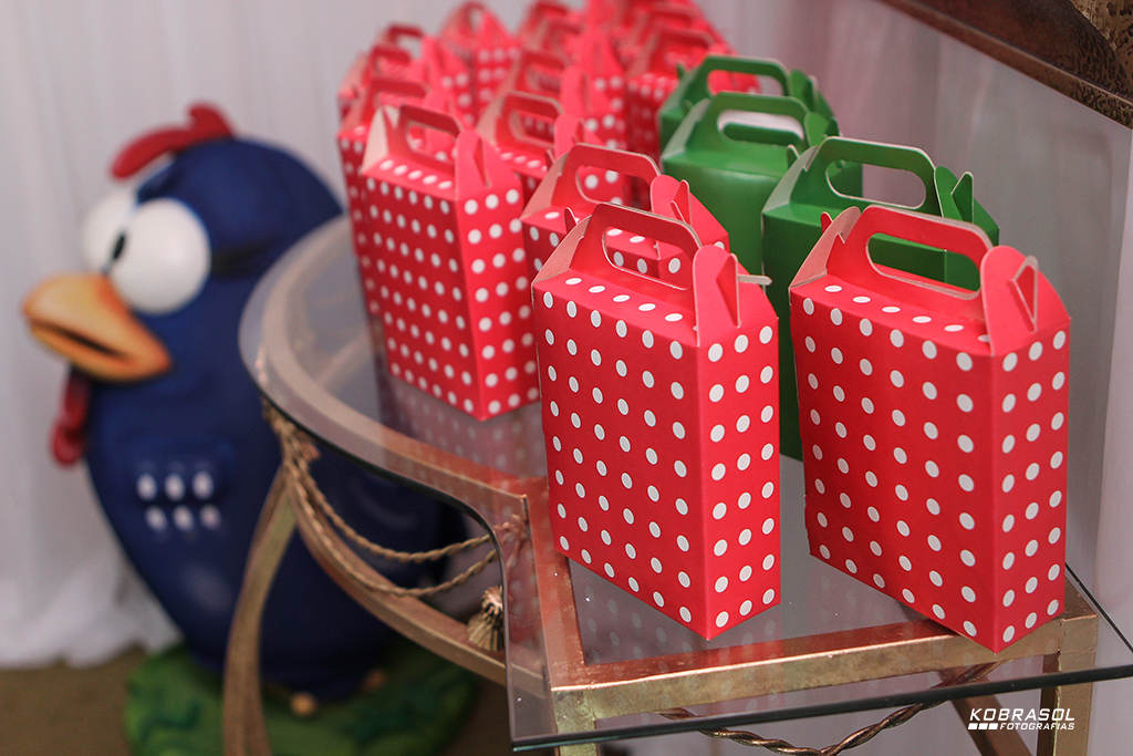 doisanos, doisaninhos, segundoaninho, fotografiainfantil, fotodefesta, festadedoisannos, festainfantil