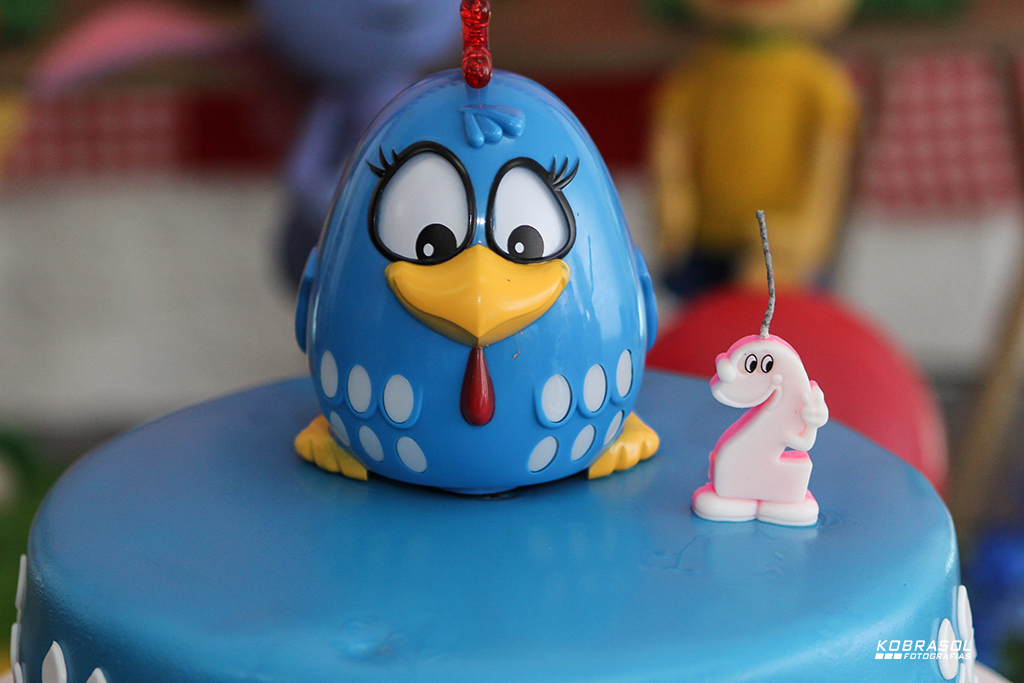 doisanos, doisaninhos, segundoaninho, fotografiainfantil, fotodefesta, festadedoisannos, festainfantil