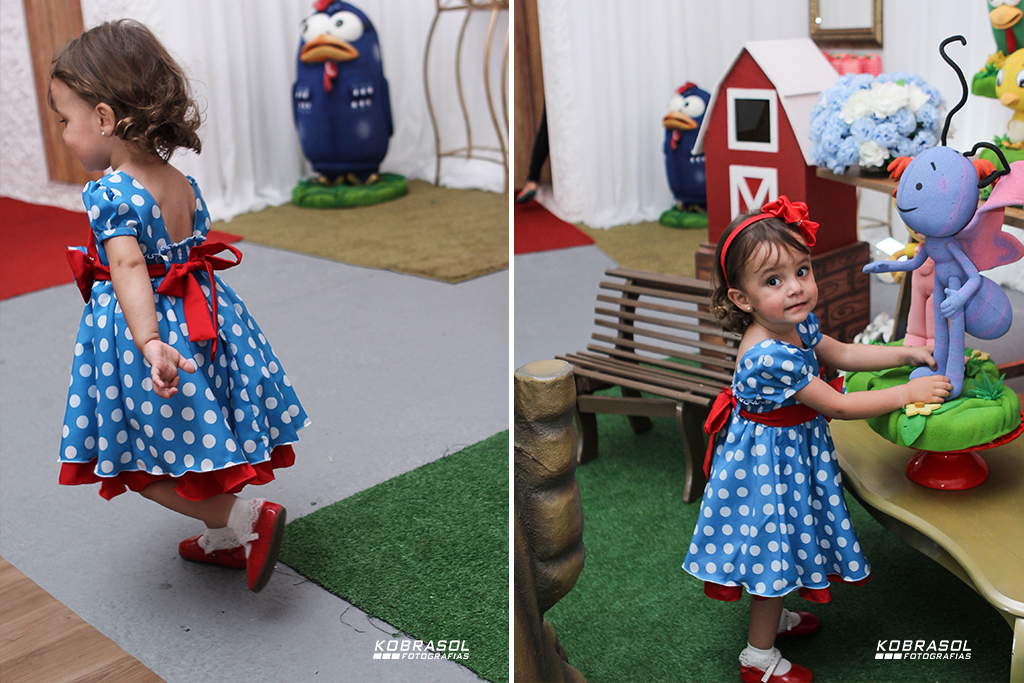 doisanos, doisaninhos, segundoaninho, fotografiainfantil, fotodefesta, festadedoisannos, festainfantil