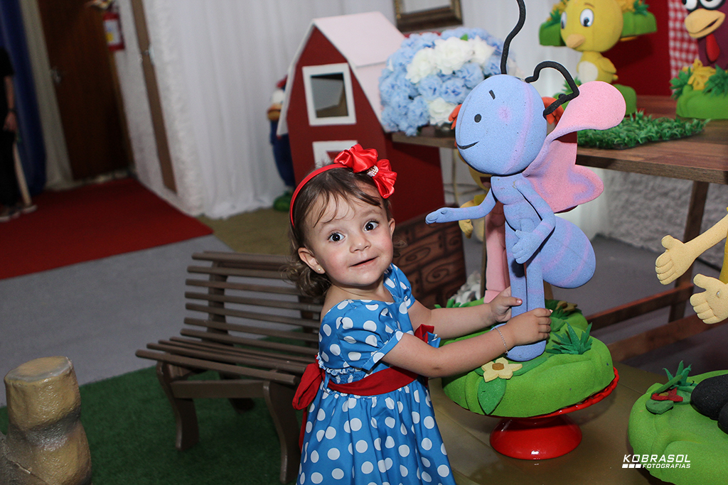 doisanos, doisaninhos, segundoaninho, fotografiainfantil, fotodefesta, festadedoisannos, festainfantil