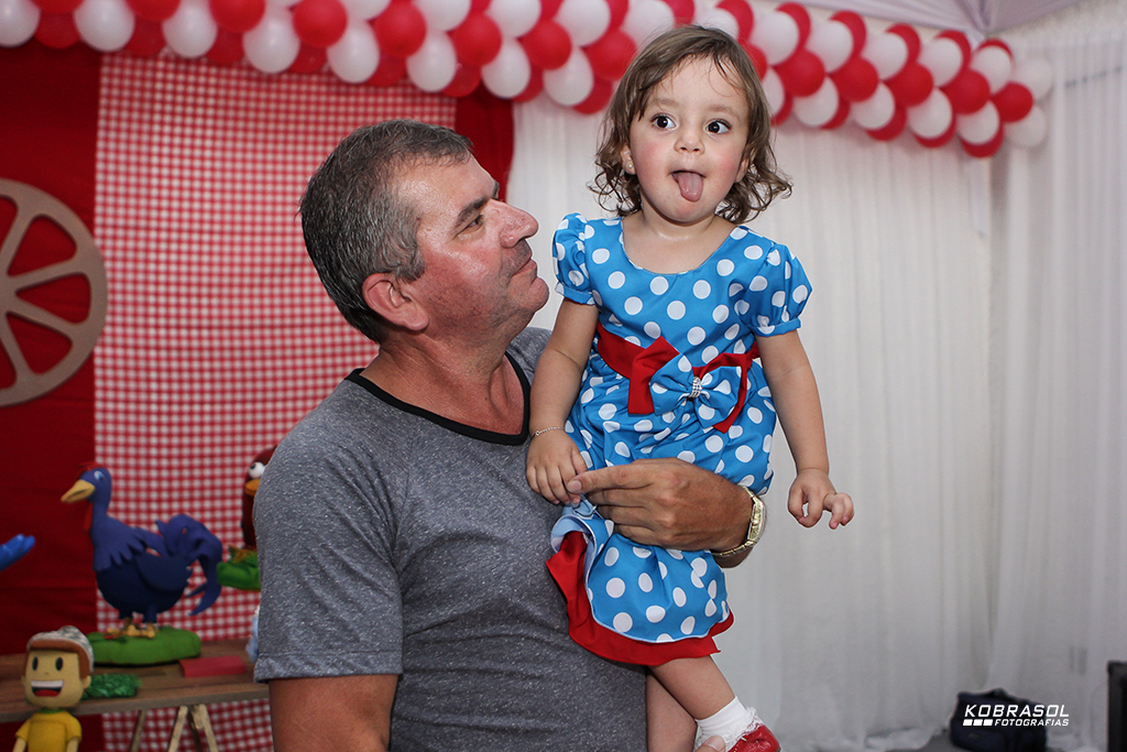 doisanos, doisaninhos, segundoaninho, fotografiainfantil, fotodefesta, festadedoisannos, festainfantil