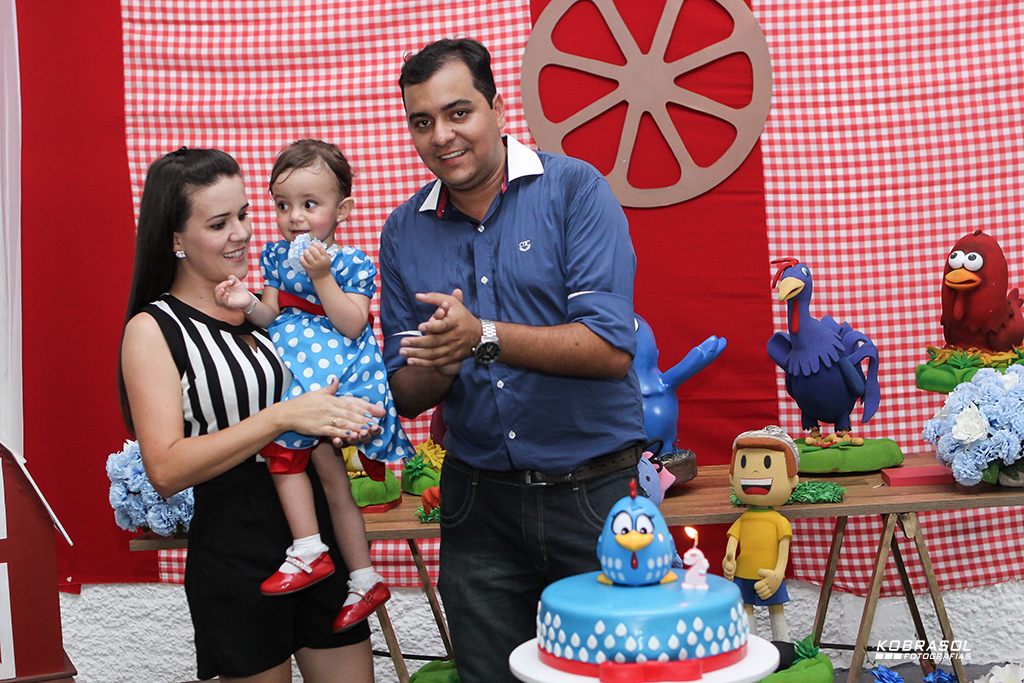 doisanos, doisaninhos, segundoaninho, fotografiainfantil, fotodefesta, festadedoisannos, festainfantil