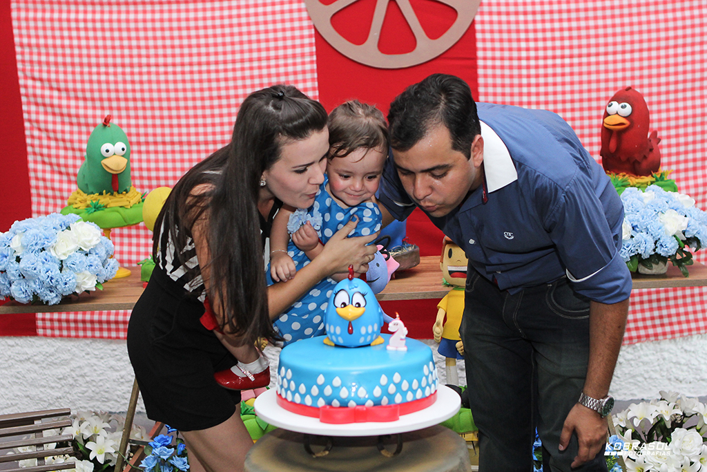 doisanos, doisaninhos, segundoaninho, fotografiainfantil, fotodefesta, festadedoisannos, festainfantil