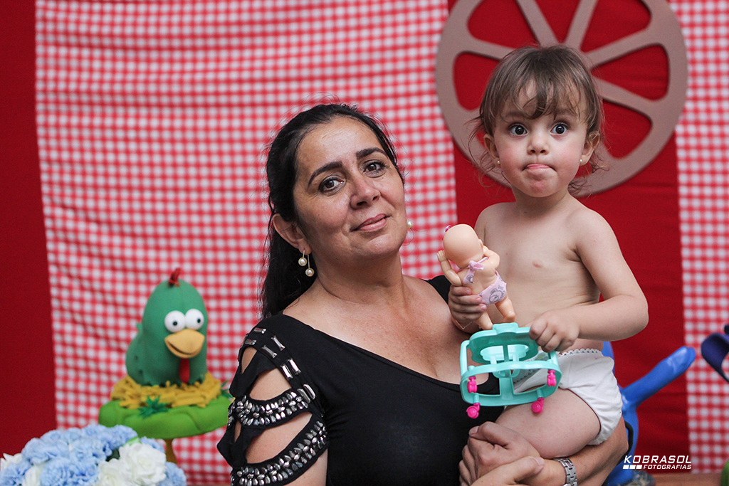 doisanos, doisaninhos, segundoaninho, fotografiainfantil, fotodefesta, festadedoisannos, festainfantil