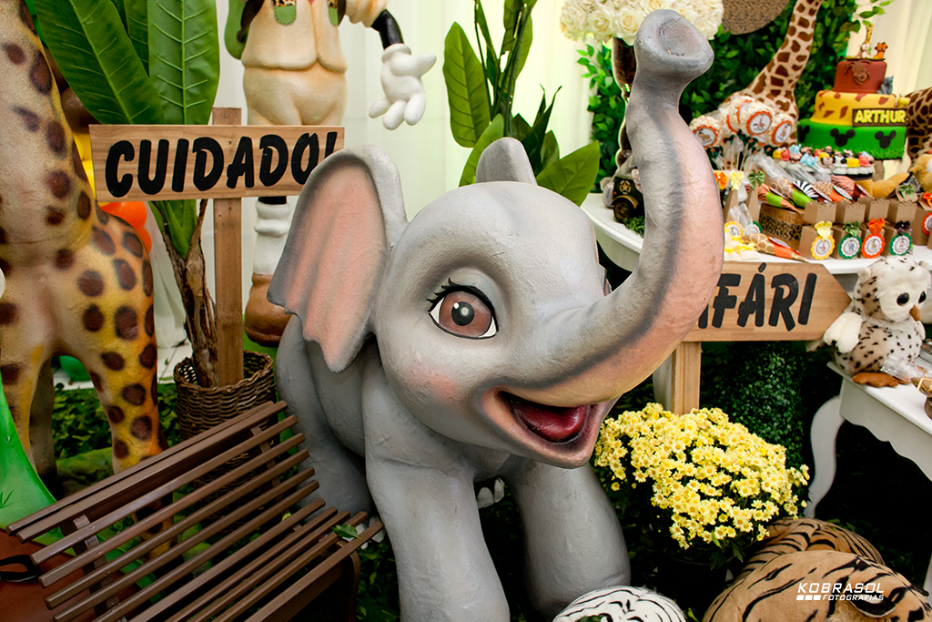 umano, umaninho, primeiroaninho, fotografiainfantil, fotodefesta, festadeumaninho